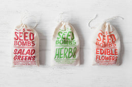 Seed Bombs