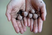 Seed Bombs