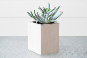 Geometric Planter