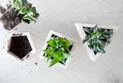 Geometric Planter