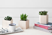 Geometric Planter